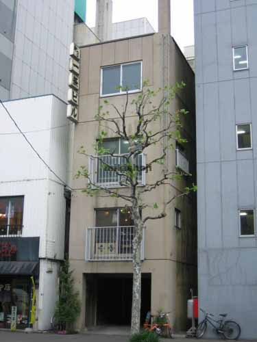 第３一条ビル 外観