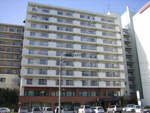 ラビドールＮ１１ 外観