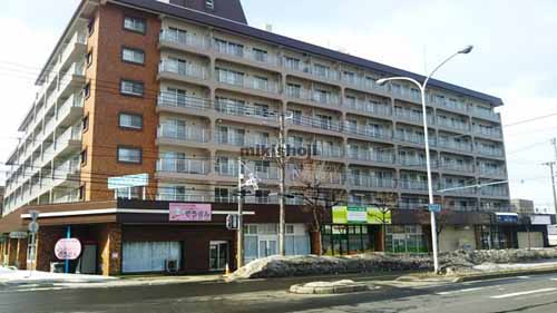 平岸パールビル 外観