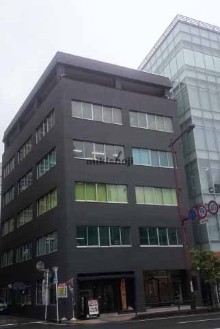 ＨＡＮＩＸⅡＢ．Ｌ．Ｄ 外観