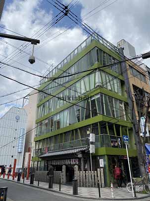 ＺＥＬＫＯＶＡ　ＴＲＥ(Ⅲ） 外観