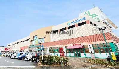 ｍｏｌｉｖｅ 外観