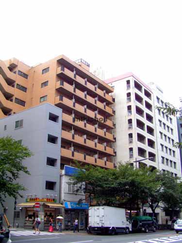 九段シルバーパレスビル 外観