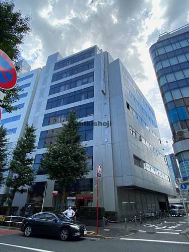 ダイヤフゲンビル 外観