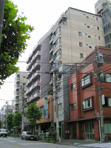 カーサミナガワビル 外観