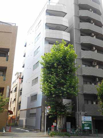 サウスライトⅤビル 外観