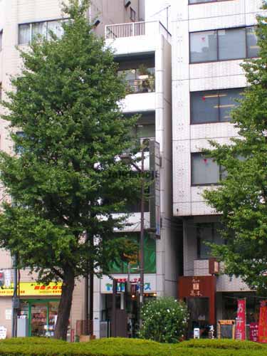 第３銀座ヤマトビル 外観