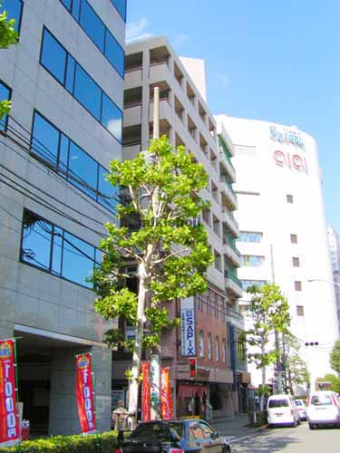 東大井アーバンハイム 外観