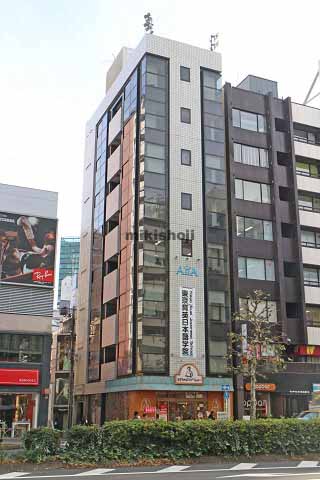 ＡｉｄｉＡ　Ｓｈｉｂｕｙａ 外観