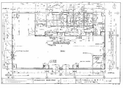 カミビル 平面1