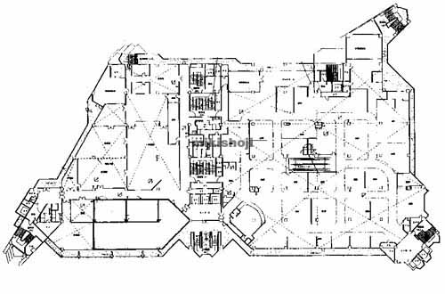 パレットくもじ 平面1
