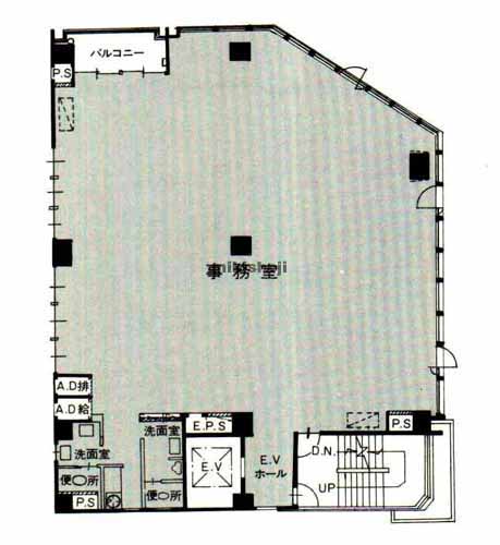 神宮前のニュー関口ビル 平面1