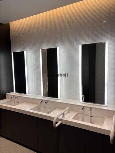 みなとみらいの横浜シンフォステージ　ウエストタワー 水回り2