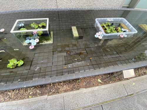 淀屋橋戸田ビル 付帯設備5