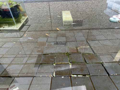 淀屋橋戸田ビル 付帯設備6