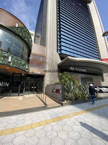 ＴＨＥ　ＰＥＡＫ　ＳＨＩＮＳＡＩＢＡＳＨＩ 付帯設備6