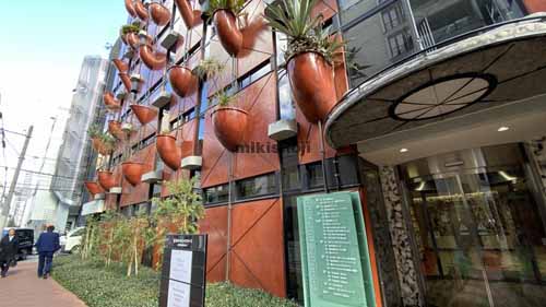 オーガニックビル エントランス3