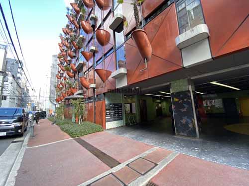 オーガニックビル エントランス11