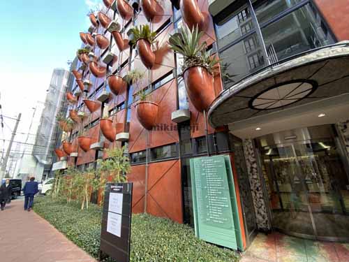 オーガニックビル エントランス13