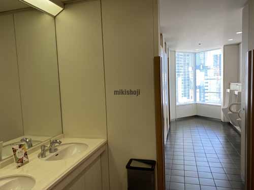 梅田阪神第１ビルディング（ハービスＯＳＡＫＡ） 水回り2