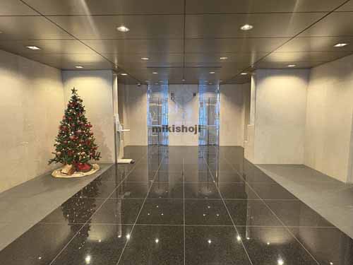 麹町ＮＫビル エントランス2