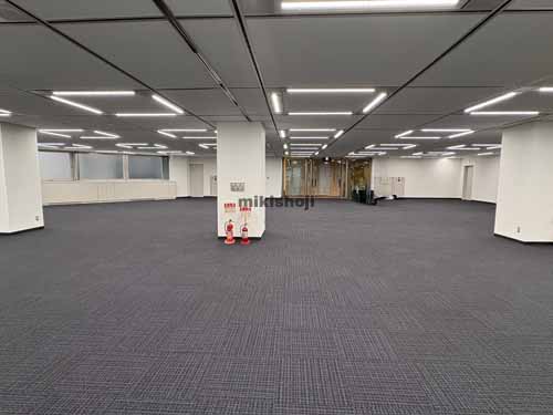 紀尾井町の泉館紀尾井町ビル 貸室内1