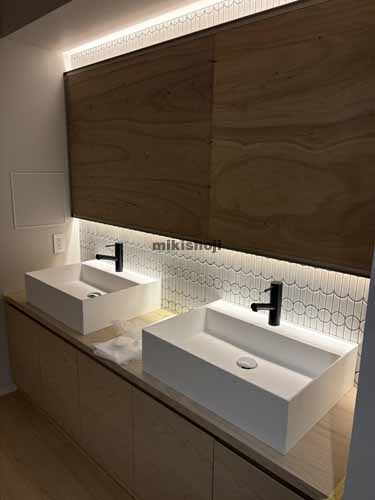 本郷のフロンティア本郷Ⅱ 水回り8