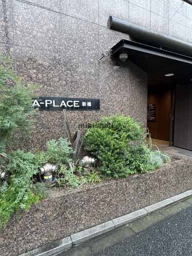 Ａ－ＰＬＡＣＥ新橋 エントランス2