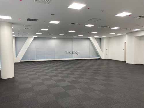 グーゴルプレックス・ミレニアムビル 貸室内2