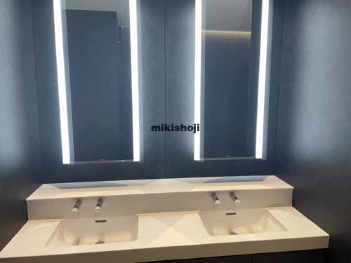 Ｄａｉｗａ日本橋本石町ビル 水回り1