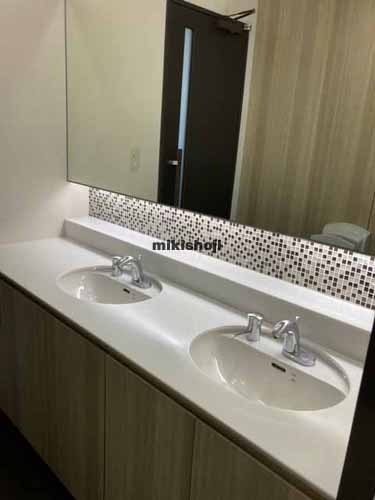 Ｄａｉｗａ神保町３丁目ビル 水回り3