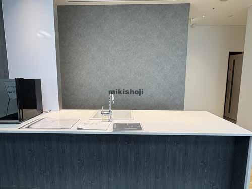 渋谷のＰＭＯ渋谷Ⅱ 水回り2