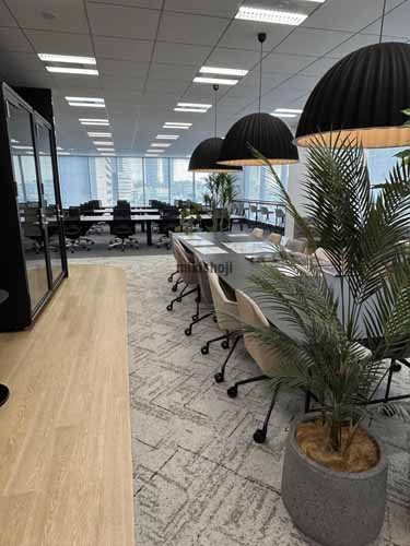 ＰＭＯ浜松町Ⅲ セットアップ室内4