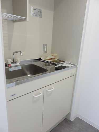 Ｔ’ｓ　ＢＲＩＧＨＴＩＡ自由が丘Ⅱ 水回り1