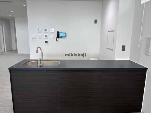 麹町のＣＲＥＡＬ　ＳＱＵＡＲＥ半蔵門 水回り2