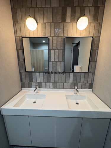 Ｓｒｅｅｄ　ＥＢＩＳＵ＋Ｌ 水回り1