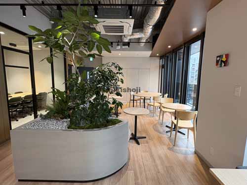 Ｓｒｅｅｄ　ＥＢＩＳＵ＋Ｌ セットアップ室内1